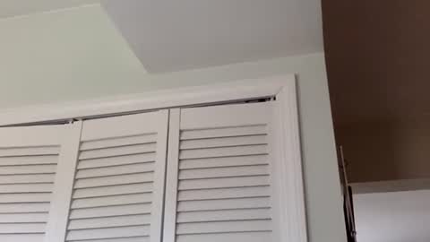 Snapshot of tylerdurden256 chatting on March 1, 2025, 3:38 pm Tyler Durden online show from March 1, 2025, 3:38 pm