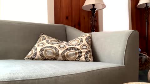 Snapshot of tylersands chatting on February 11, 2025, 2:46 pm Tyler Sands online show from February 11, 2025, 2:46 pm