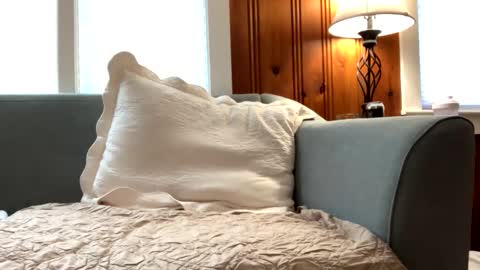 Snapshot of tylersands chatting on February 16, 2025, 2:21 pm Tyler Sands online show from February 16, 2025, 2:21 pm