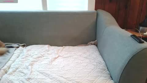 Tyler Sands online show from December 16, 2025, 12:54 pm