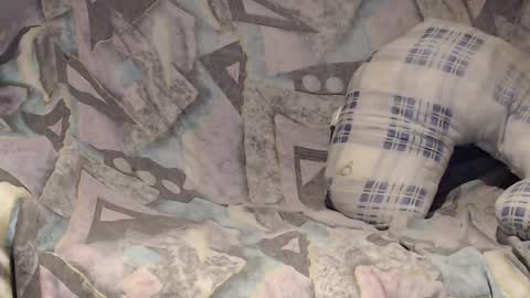 Helena and Tyson online show from February 2, 2025, 4:05 am