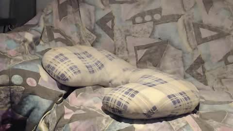 Helena and Tyson online show from November 9, 2025, 4:11 am