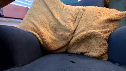 Snapshot of ukclive chatting on February 5, 2025, 1:22 pm ukclive online show from February 5, 2025, 1:22 pm