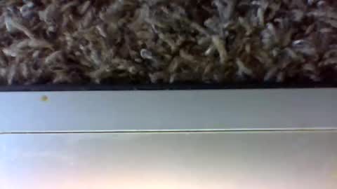 tele kuzhbuzh online show from January 24, 2025, 6:25 pm