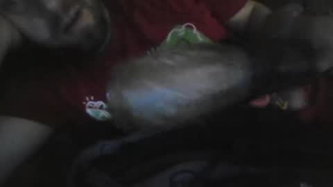 UncutGem online show from December 17, 2025, 7:03 am