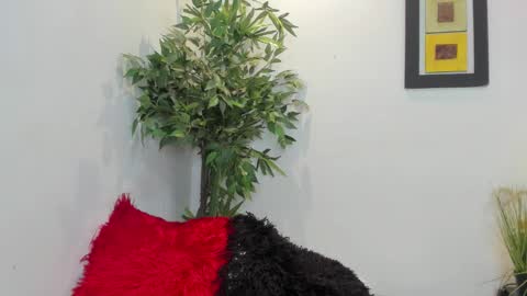 Snapshot of valeri_tafur chatting on November 12, 2025, 12:33 am valeri_tafur online show from November 12, 2025, 12:33 am