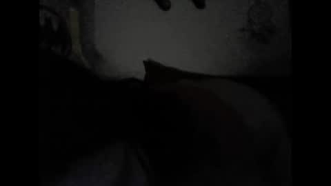 Valeria online show from February 15, 2025, 6:55 am