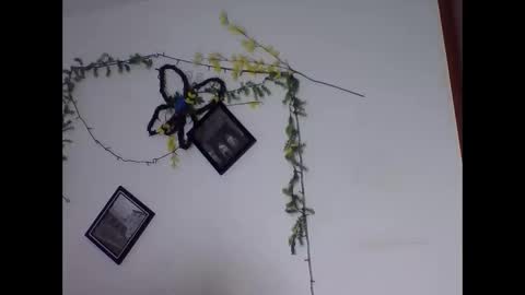 Snapshot of valery_honey_ chatting on June 2, 2026, 1:18 am valery_honey_ online show from June 2, 2026, 1:18 am