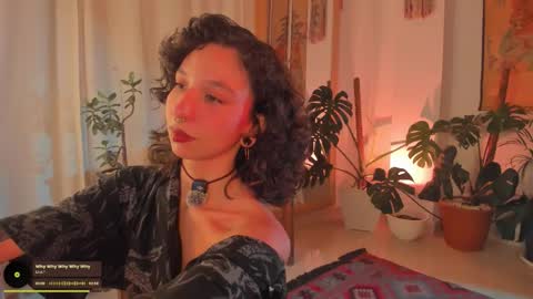      online show from February 8, 2026, 12:36 am