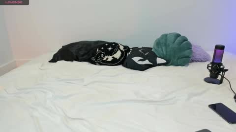 Snapshot of vamppire_girl chatting on November 21, 2025, 7:56 pm Vamppire Girl online show from November 21, 2025, 7:56 pm