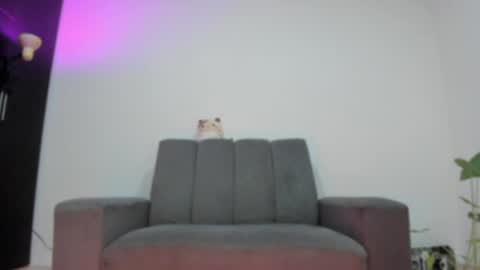 Babi Alu online show from May 25, 2026, 9:48 am