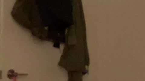 Snapshot of vanessapark chatting on December 8, 2024, 4:04 am Vanessa online show from December 8, 2024, 4:04 am