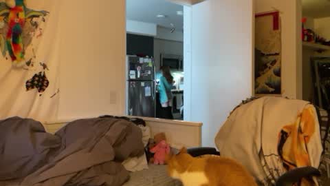 Snapshot of vanessapark chatting on January 4, 2025, 3:07 pm Vanessa online show from January 4, 2025, 3:07 pm