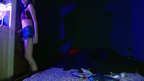 Snapshot of venuss6666 chatting on January 18, 2025, 4:15 am Venus online show from January 18, 2025, 4:15 am