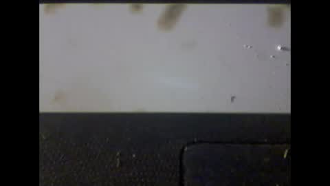 Im DanielVerdo  25 years old Lets have Fun and just ask what wanne know   tnew anal bigock cum  slave  fullnaked online show from March 1, 2025, 6:35 am