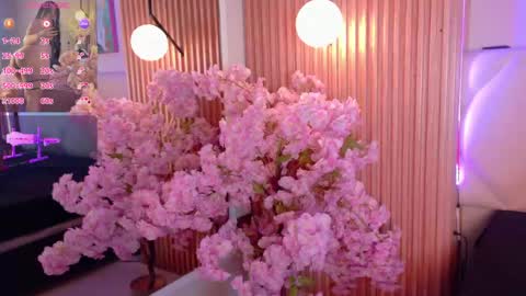 veronica_hill_ online show from May 13, 2026, 3:04 am