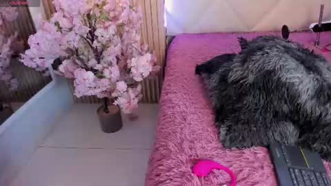 veronica_hill_ online show from June 10, 2026, 3:07 am