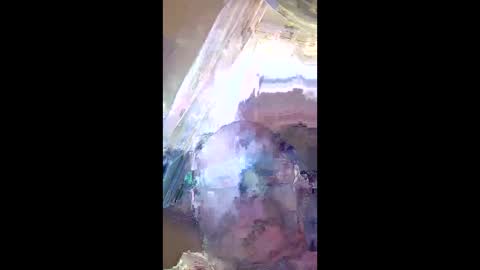 Snapshot of veronika456 chatting on June 11, 2026, 8:01 am veronika456 online show from June 11, 2026, 8:01 am