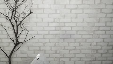 Snapshot of veryveryshygirl chatting on February 3, 2025, 2:34 pm Ana online show from February 3, 2025, 2:34 pm