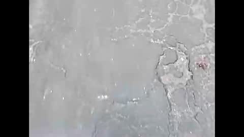 Snapshot of viciouzz1 chatting on November 24, 2025, 7:02 pm viciouzz1 online show from November 24, 2025, 7:02 pm