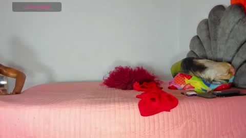 vicky manuela online show from May 1, 2026, 8:30 am