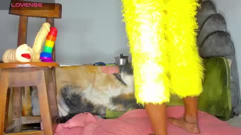 Snapshot of vicky_hotteei chatting on June 25, 2026, 4:34 am vicky manuela online show from June 25, 2026, 4:34 am