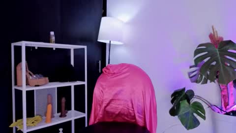 Snapshot of vickygrey1 chatting on November 27, 2025, 8:44 pm Vicky Greys online show from November 27, 2025, 8:44 pm