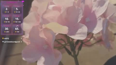 Snapshot of vickyvalencia2 chatting on July 9, 2026, 1:09 am vickyvalencia2 online show from July 9, 2026, 1:09 am