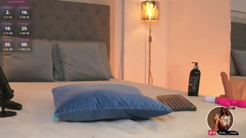 Snapshot of victoria__rossi chatting on February 15, 2025, 2:55 pm online show from February 15, 2025, 2:55 pm