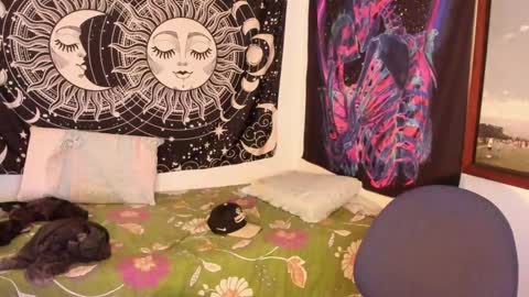 Victorino Jhonson online show from December 24, 2024, 6:39 pm