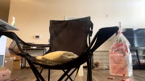 victoryd007 online show from February 22, 2025, 7:25 pm