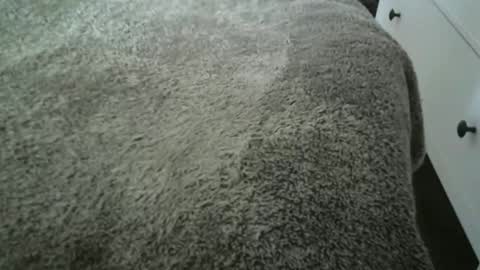 Vidalter online show from November 20, 2025, 8:25 am