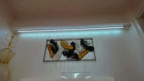 Snapshot of vikafever chatting on November 10, 2025, 4:11 am vikafever online show from November 10, 2025, 4:11 am