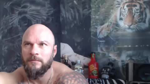 viking online show from April 22, 2026, 6:38 am