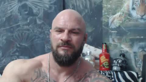 Snapshot of viking_me chatting on June 11, 2026, 6:06 pm viking online show from June 11, 2026, 6:06 pm