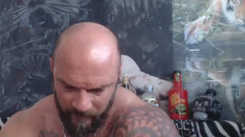 viking online show from June 22, 2026, 6:32 am