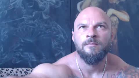 viking online show from June 28, 2026, 6:41 am