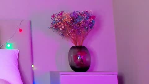 Snapshot of vikkilustfull chatting on January 25, 2025, 6:35 pm VIKKI online show from January 25, 2025, 6:35 pm