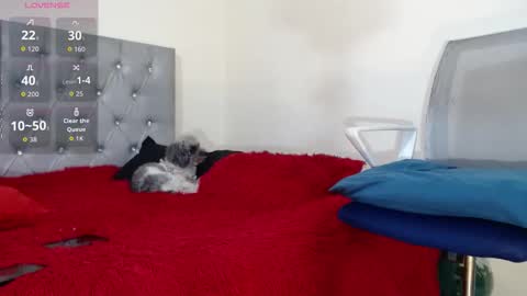 Snapshot of vinzent_lafed_ chatting on October 5, 2025, 7:39 am vinzent_lafed_ online show from October 5, 2025, 7:39 am