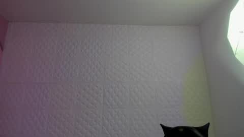     online show from May 4, 2026, 9:22 pm