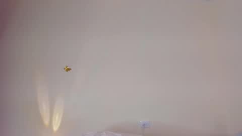 Snapshot of violett_24_ chatting on November 29, 2025, 11:30 pm violett_24_ online show from November 29, 2025, 11:30 pm