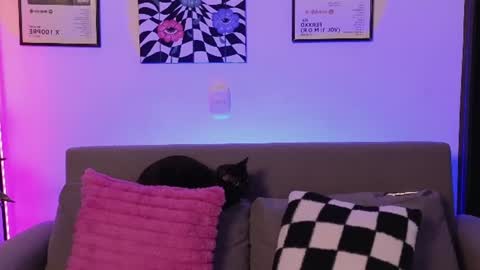 Violet online show from June 26, 2026, 11:09 pm
