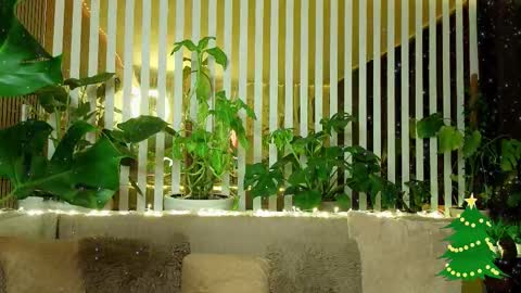 Violetta online show from January 7, 2026, 11:18 pm