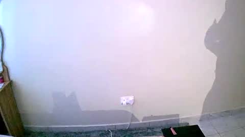 Snapshot of virtual_wifey chatting on January 19, 2025, 1:22 pm Your Virtual Wife online show from January 19, 2025, 1:22 pm