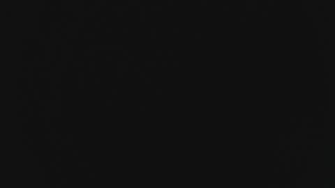 Snapshot of vitel2000 chatting on March 10, 2025, 3:41 pm Marie online show from March 10, 2025, 3:41 pm