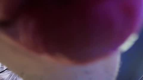 Snapshot of vittorio_cerati chatting on May 29, 2026, 3:43 pm new acount online show from May 29, 2026, 3:43 pm
