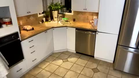 Vivlove online show from January 20, 2025, 11:35 am