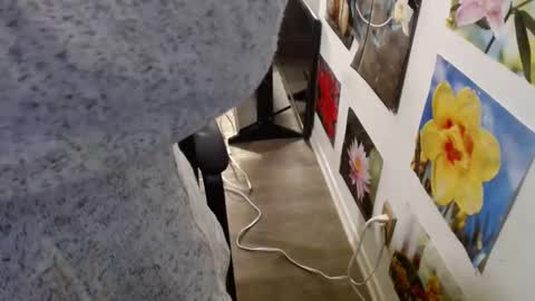 Vixen Fyre online show from December 12, 2024, 5:59 pm