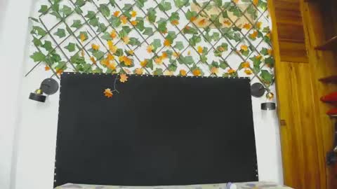 skay online show from April 28, 2026, 2:55 pm