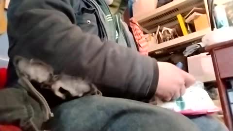 Snapshot of waffywaff77 chatting on January 12, 2025, 11:58 pm waffywaff77 online show from January 12, 2025, 11:58 pm